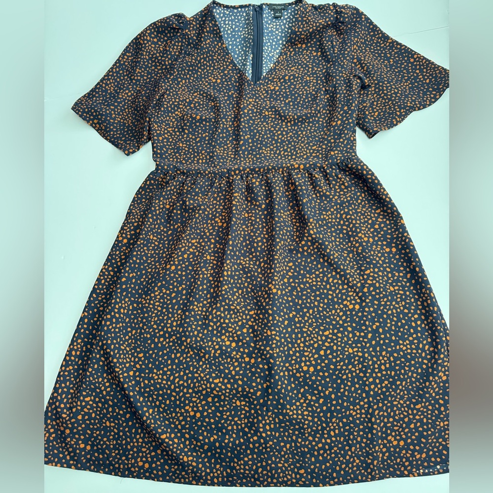 Ann Taylor Women’s Dress Mid Length